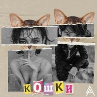 Антон Лаврентьев & Алина Астровская - Кошки