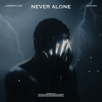 Laidback Luke & Gattuso - Never Alone