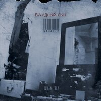 Roman Troy - Белые голуби