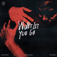 Martin Garrix feat. Matisse & Sadko & Jtiohn Marn - Won’t Let You Go