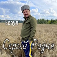 Сергей Родня - Недолюбила