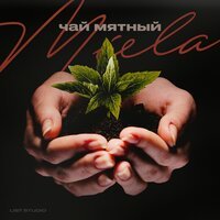 Miela - Чай мятный