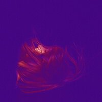 Kapusha - Мне Снилось