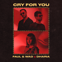 Faul & Wad feat. Dharia - Cry For You