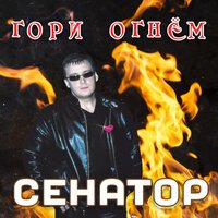 Сенатор - Я не играю