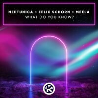 Neptunica feat. Felix Schorn & Meela - What Do You Know