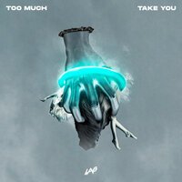 Too Much - Take You