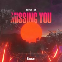Big Z - Missing You