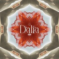 WRS - Dalia