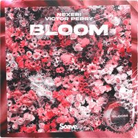 Nexeri feat. Victor Perry - Bloom