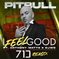 Pitbull feat. Anthony Watts & DJWS - I Feel Good (71 Digits Remix)