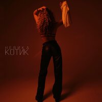 Невика - Котик