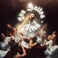 Iva Sativa - Коса