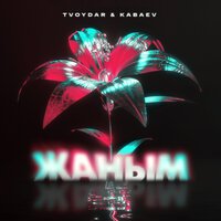 TVOYDAR & KABAEV - Жаным