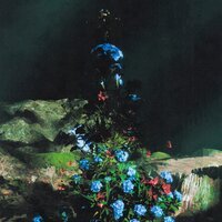 Yungcold - У Меня Есть Все