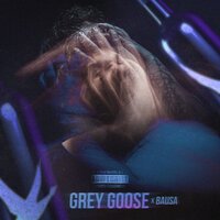 Bozza feat. Bausa - Grey Goose