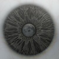 GUERLAIN - Ни слова