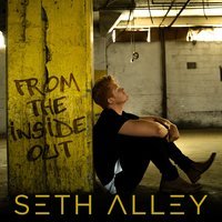 Seth Alley - If You Feel Like Me