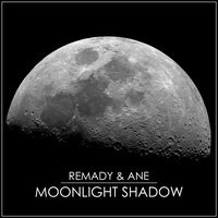 Remady feat. ANE - Moonlight Shadow