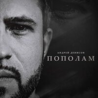 Андрей Денисов - Пополам