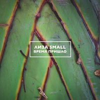 Лиза Смол - Время пришло