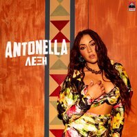 Antonella - Lexi