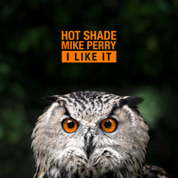 Hot Shade feat. Mike Perry - I Like It