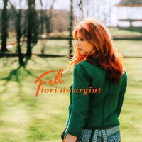 Feli - Flori De Argint