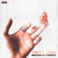 Akris & Teddy - Солнечные Зайчики