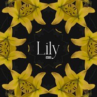 WRS - Lily