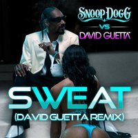 Snoop Dogg feat. David Guetta - Sweat (Ayur Tsyrenov DFM Remix)