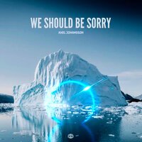 Axel Johansson - We Should Be Sorry