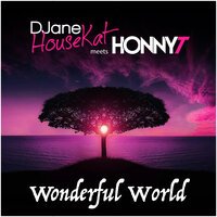 DJane HouseKat feat. Honny T - Wonderful World