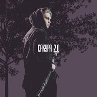 Dkart - Сакура 2.0