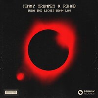 Timmy Trumpet feat. R3hab & NINEONE - Turn The Lights Down Low (Chinese Version)