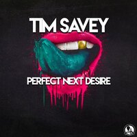 Tim Savey - Perfect Next Desire