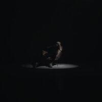 Шефи - Стазис