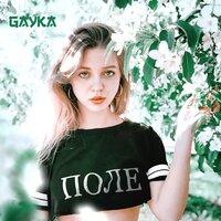 Gayka - Поле