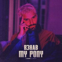 R3hab - My Pony (R3hab VIP Remix)
