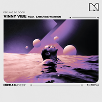 Vinny Vibe feat. Sarah De Warren - Feeling So Good