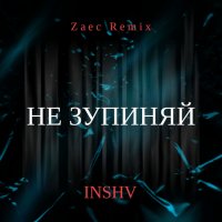 INSHV - Не Зупиняй (Zaec Remix)