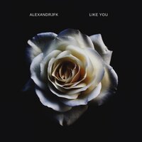 Alexandrjfk - Like You