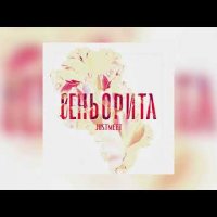 JUSTMEET - Сеньорита