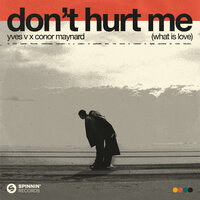 Yves V feat. Conor Maynard - Don't Hurt Me (What Is Love)