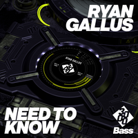 Ryan Gallus feat. 3000 Bass - Need To Know