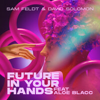 Sam Feldt & David Solomon feat. Aloe Blacc - Future In Your Hands