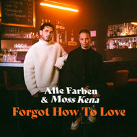 Alle Farben feat. Moss Kena - Forgot How To Love
