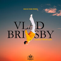 Vlad Brisby - Cause I'm In Luv (Kolya Funk Remix)