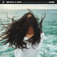 MEYSTA feat. Kury - Numb