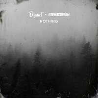 DYMD feat. Steve Brian - Nothing